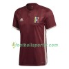 Tenue Venezuela Domicile 2018 Maillot de Foot